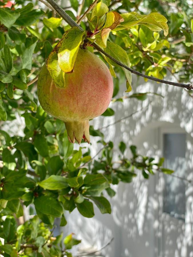 Maria Elena - Suite Home Mykonos Town Екстериор снимка